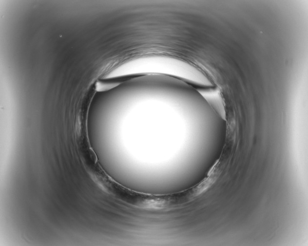 X0000084550158200703161653