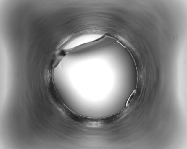 X0000084550160200703161653