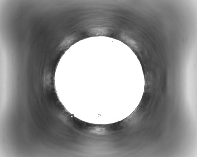 X0000084550162200703161653