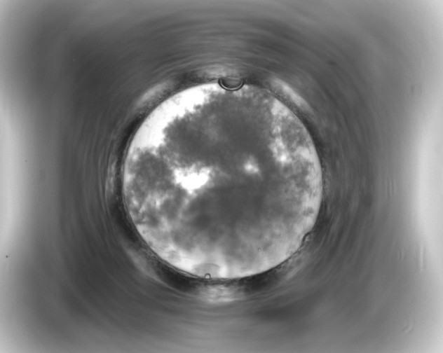 X0000084550163200703161653