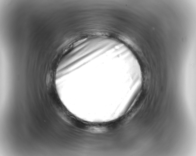 X0000084550165200703161653