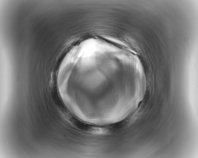 X0000084550167200703161653