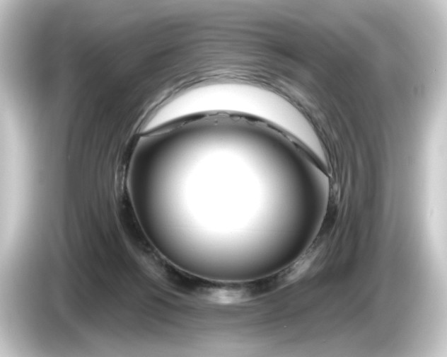 X0000084550168200703161653