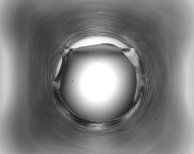 X0000084550170200703161653