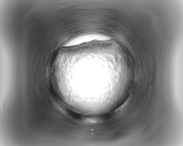 X0000084550171200703161653