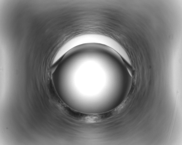 X0000084550172200703161653