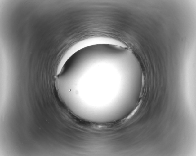 X0000084550174200703161653