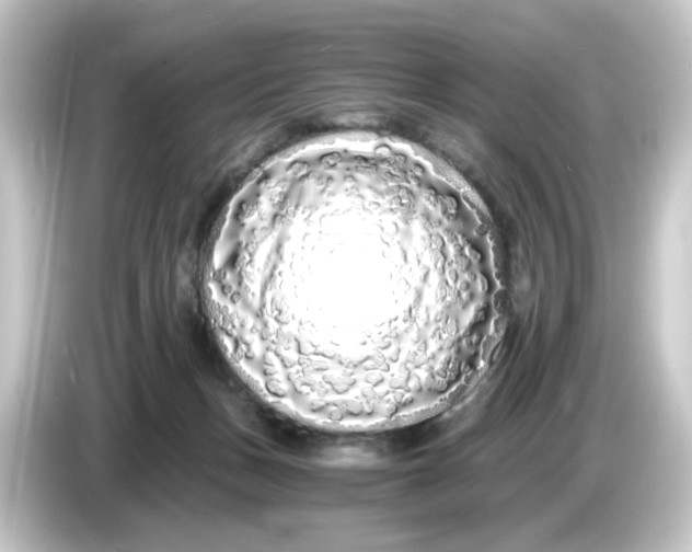 X0000084550175200703161653