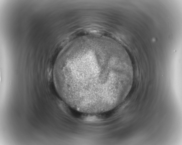 X0000084550177200703161653