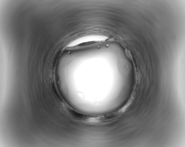 X0000084550178200703161653