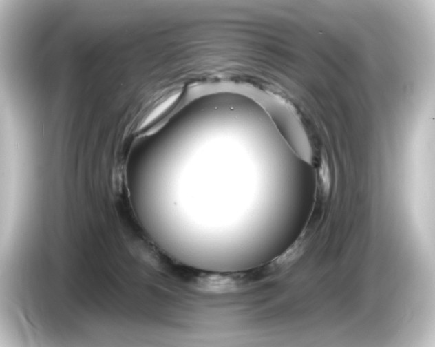 X0000084550180200703161653