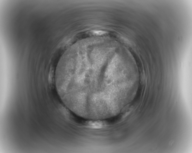 X0000084550181200703161653