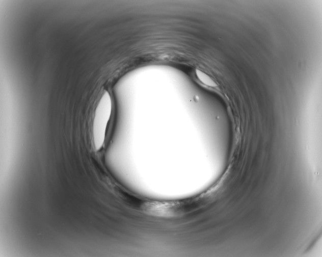 X0000084550182200703161653