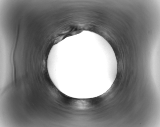 X0000084550183200703161653