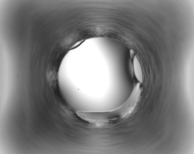 X0000084550184200703161653