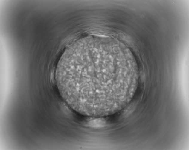 X0000084550185200703161653