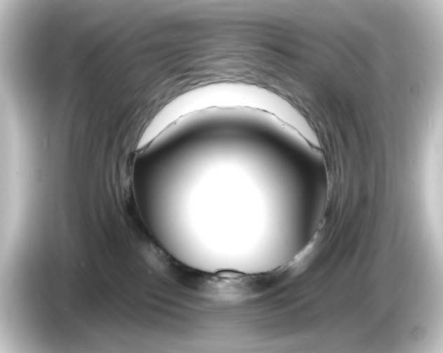 X0000084550186200703161653