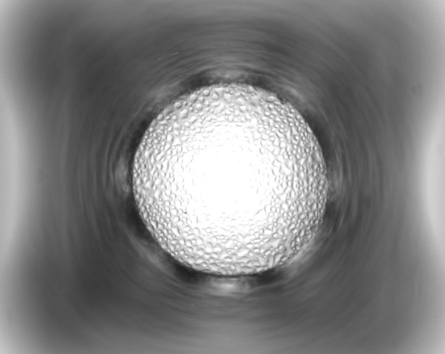 X0000084550187200703161653