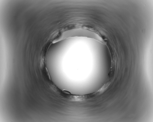 X0000084550188200703161653