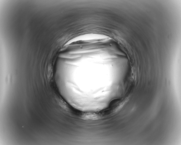 X0000084550189200703161653