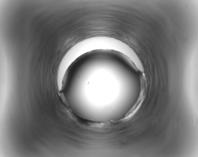 X0000084550190200703161653