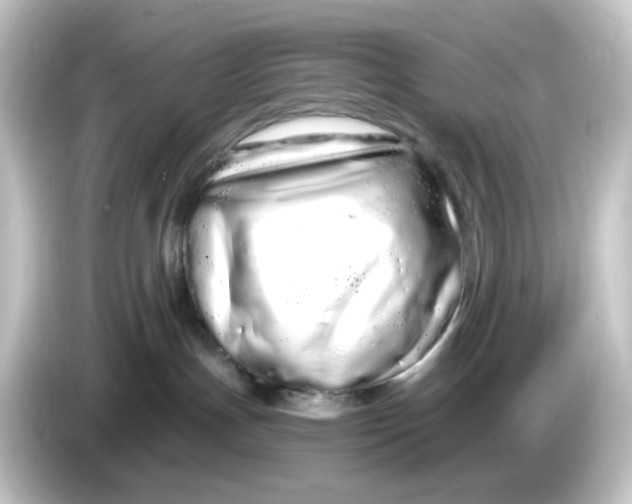 X0000084550191200703161653