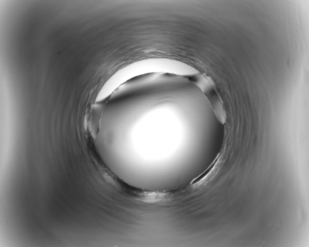 X0000084550192200703161653