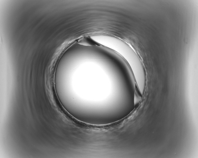 X0000084550193200703161652