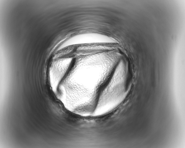 X0000084550194200703161652