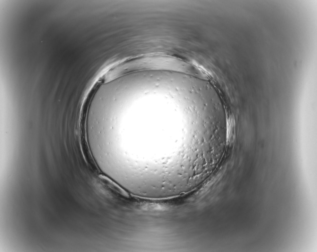 X0000084550195200703161652