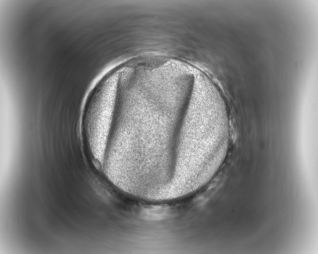 X0000084550196200703161652