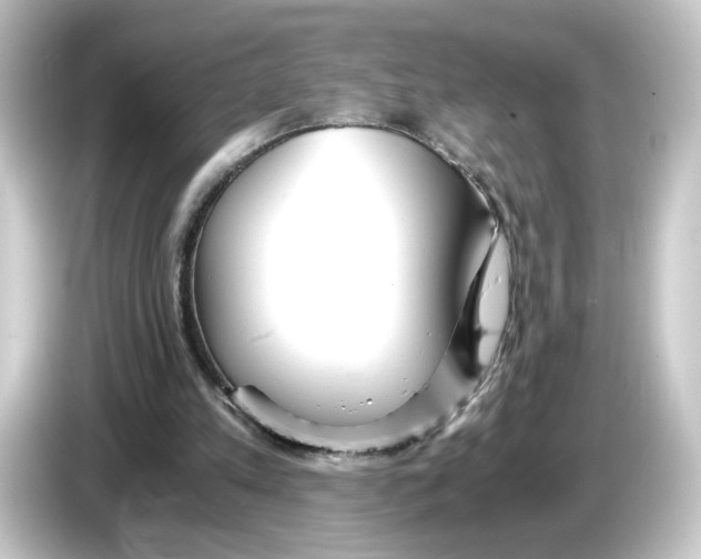 X0000084550197200703161652