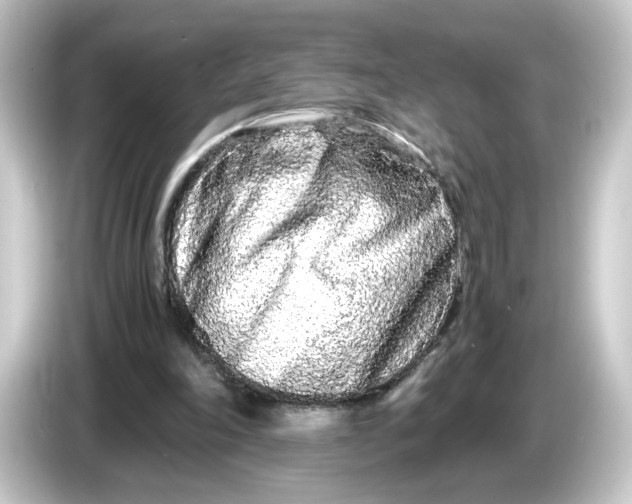 X0000084550198200703161652