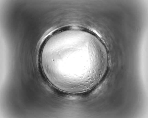 X0000084550199200703161652