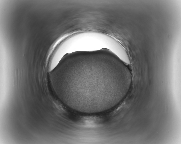 X0000084550200200703161652