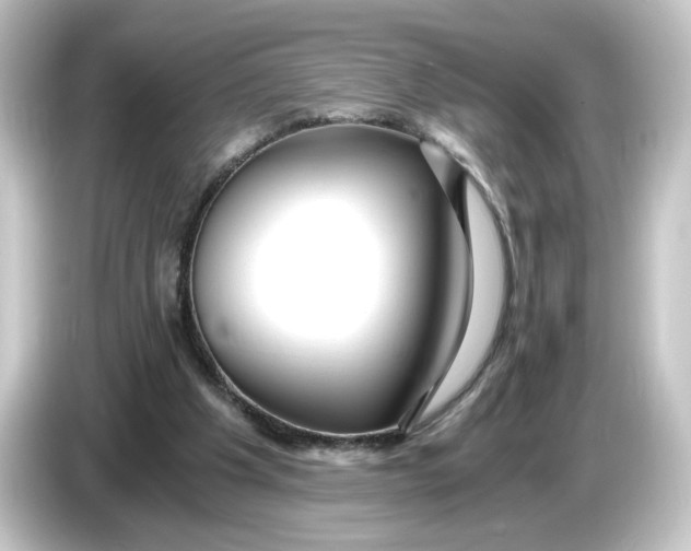 X0000084550201200703161652