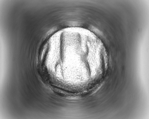 X0000084550202200703161652