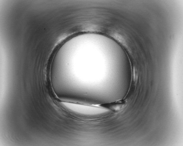 X0000084550204200703161652