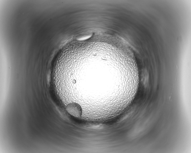 X0000084550206200703161652