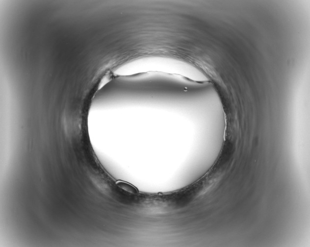 X0000084550207200703161652