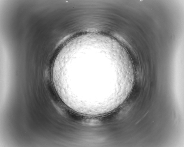 X0000084550208200703161652