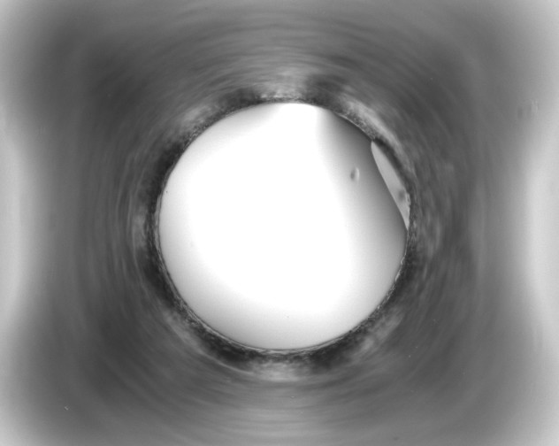 X0000084550209200703161652