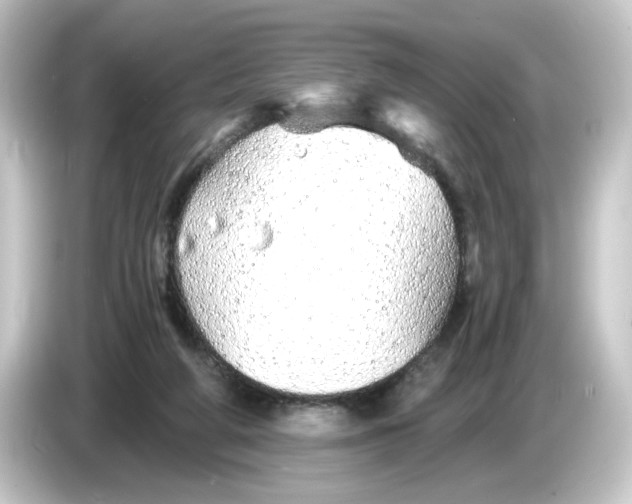 X0000084550210200703161652