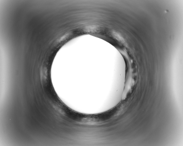 X0000084550211200703161652