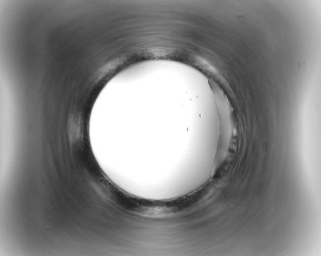 X0000084550212200703161652