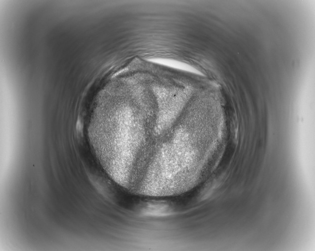 X0000084550214200703161652