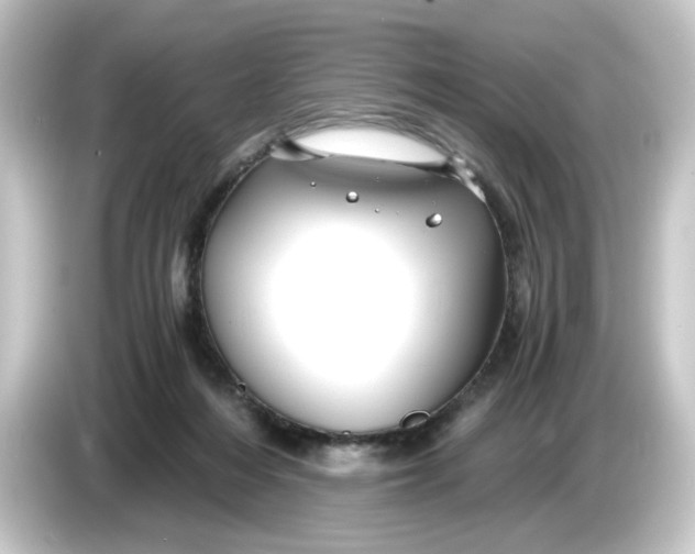 X0000084550216200703161652