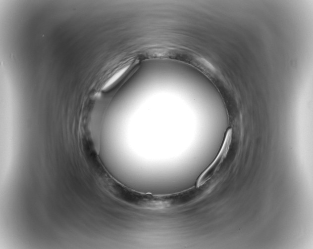 X0000084550217200703161652