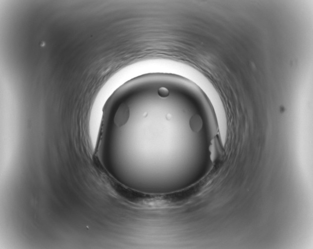 X0000084550219200703161652