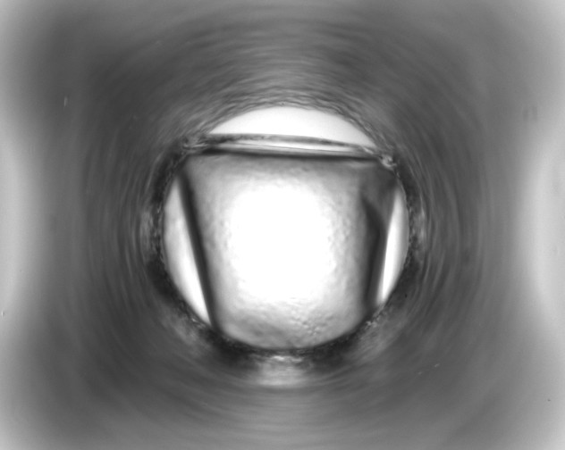 X0000084550222200703161652